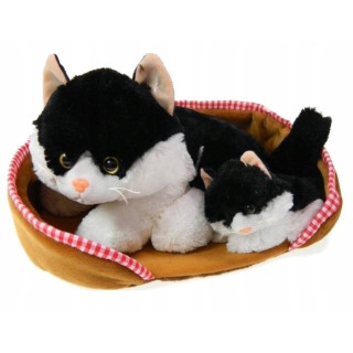 MADEJ KOTEK Z GŁOSEM