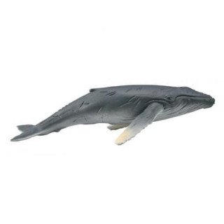 COLLECTA DŁUGOPŁETWOWIEC HUMBAK MŁODY - FIGURKA