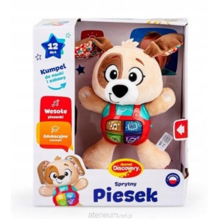 DUMEL EDUKACYJNY SPRYTNY PIESEK